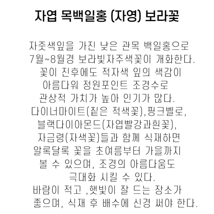 자영박설명-001.jpg