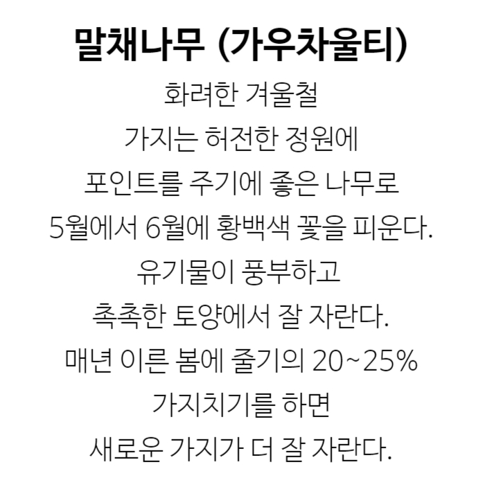 가우차울티 설명.jpg