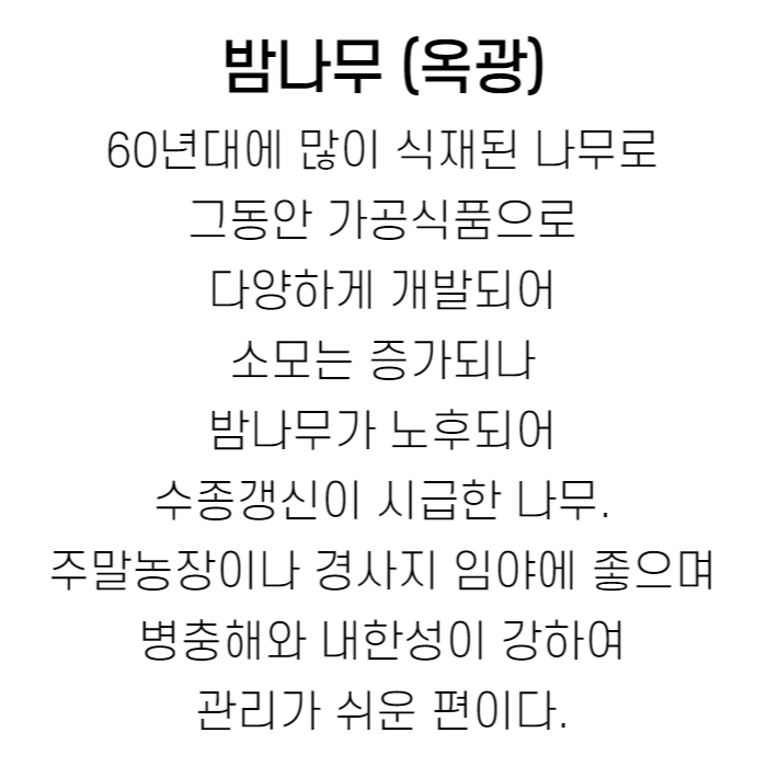 옥광 설명.jpg