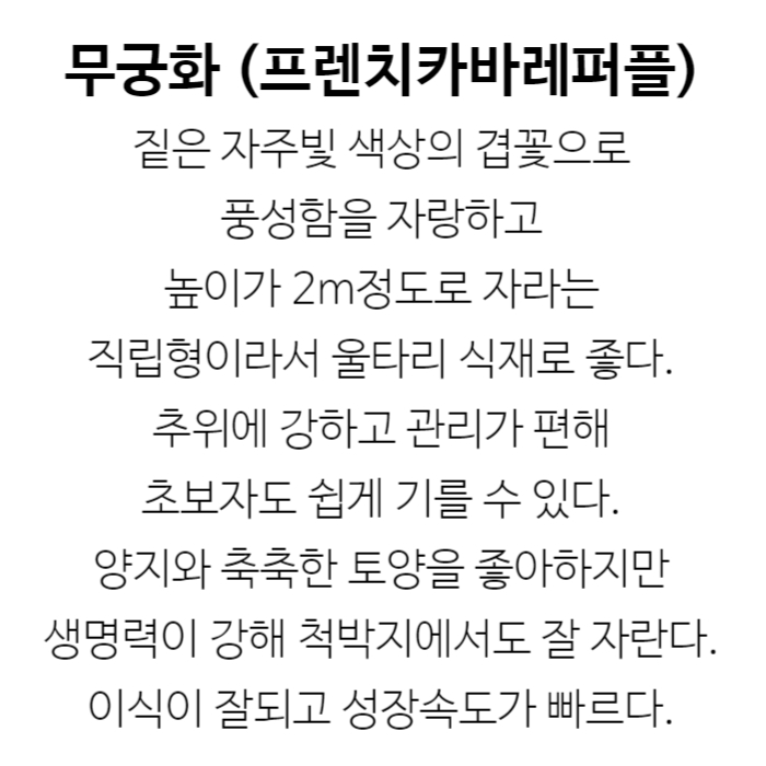 프렌치카바레퍼플 설명.jpg