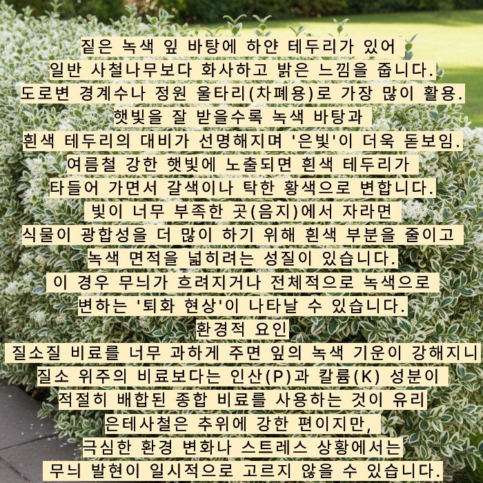 은테사철 안내문.jpg