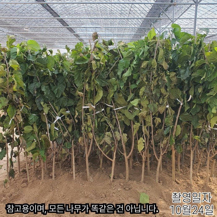 슈퍼오디10_24결-001.jpg