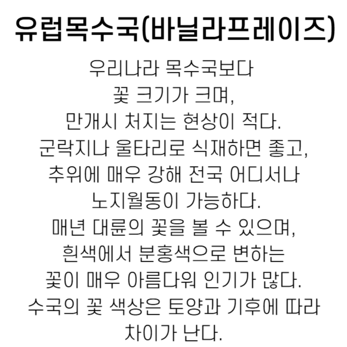 바닐라프레이즈수정본-001.jpg
