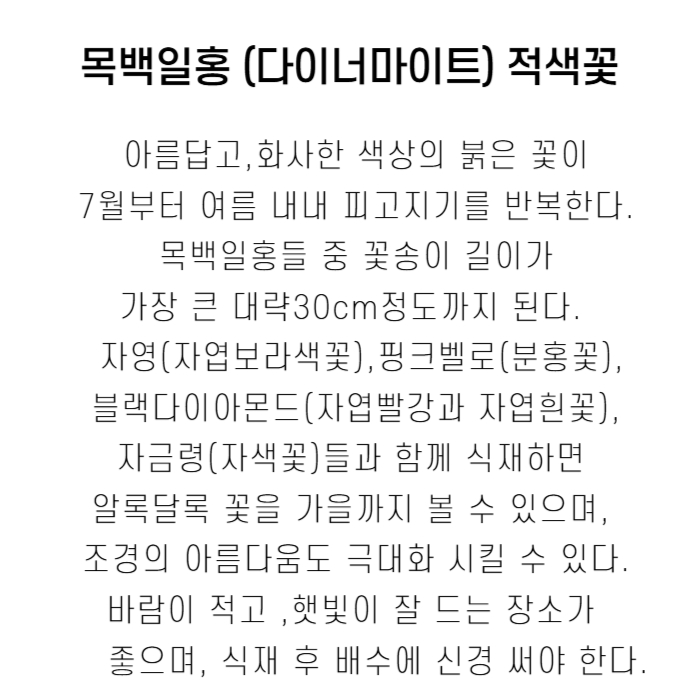 다이너마이트박설명-001 (1).jpg