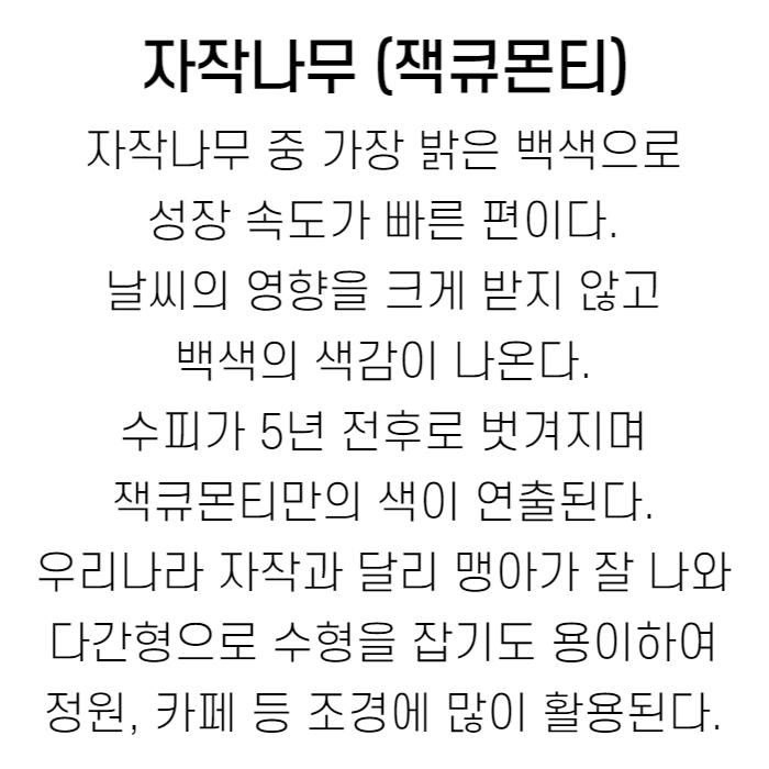 잭큐몬티 설명.jpg