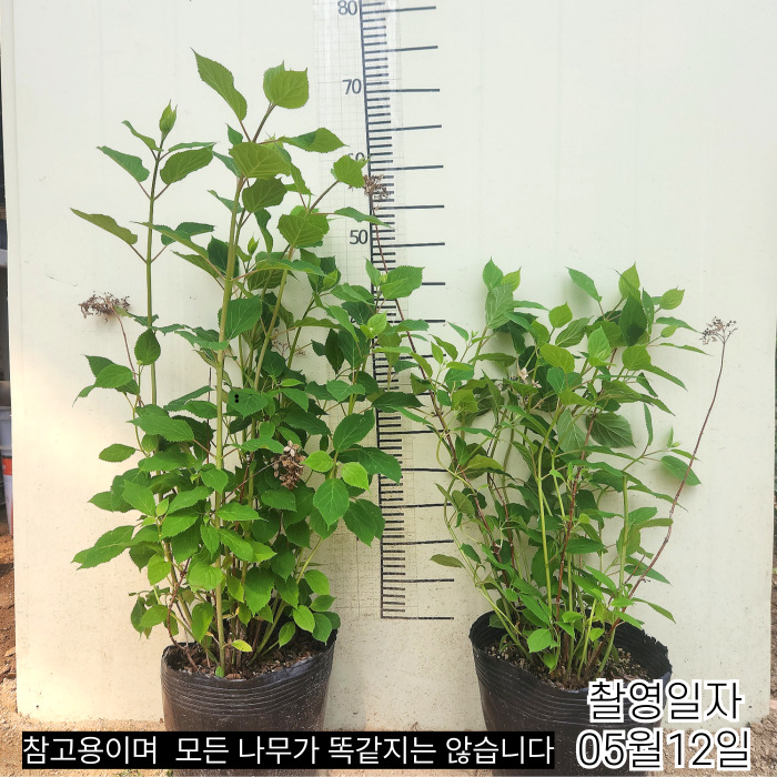 5_11정정-001 (5).jpg