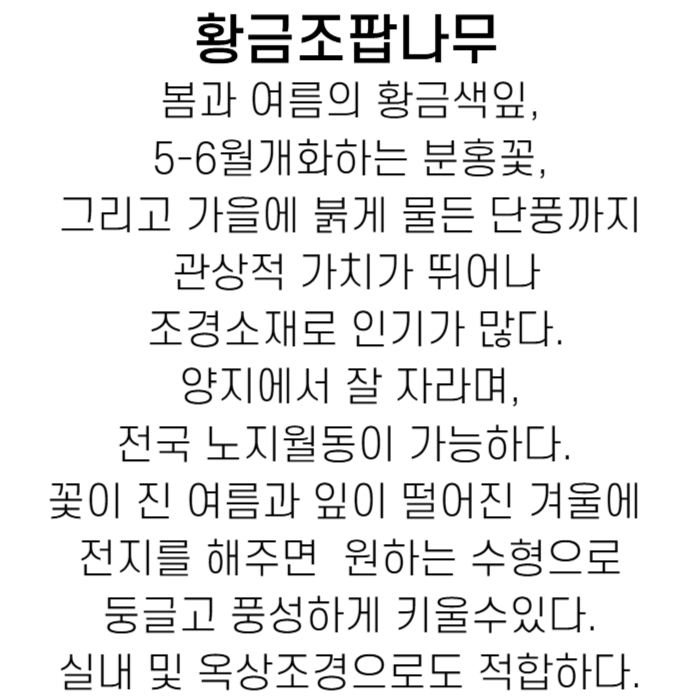 황금조팝설명-001.jpg