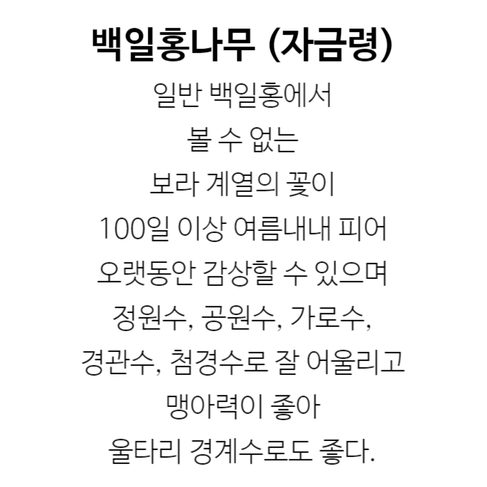 자금령 설명.jpg