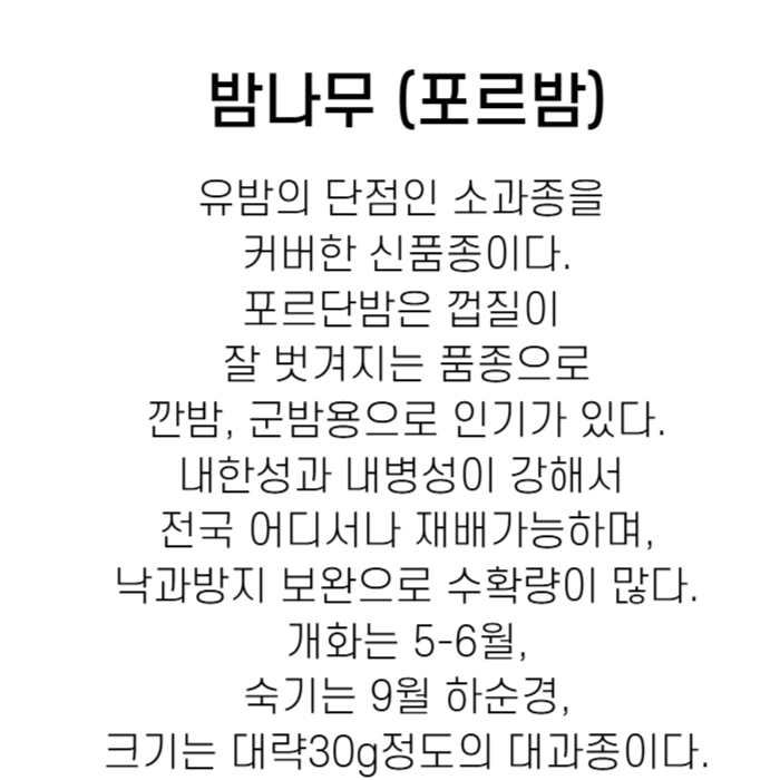 포르단밤설명.jpg