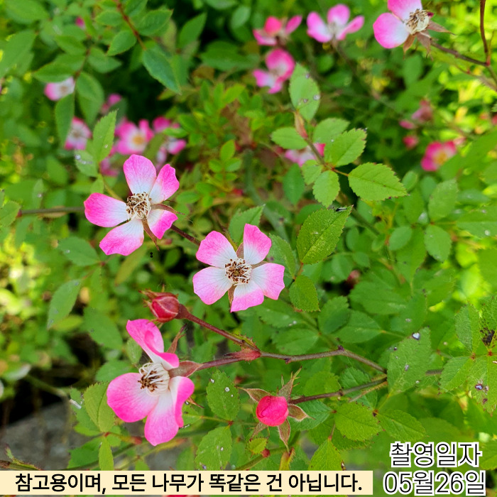 큐티파이5_26-001 (6).jpg