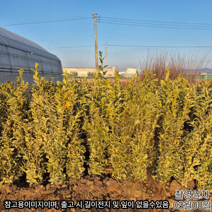 0308은테사철상세용.jpg