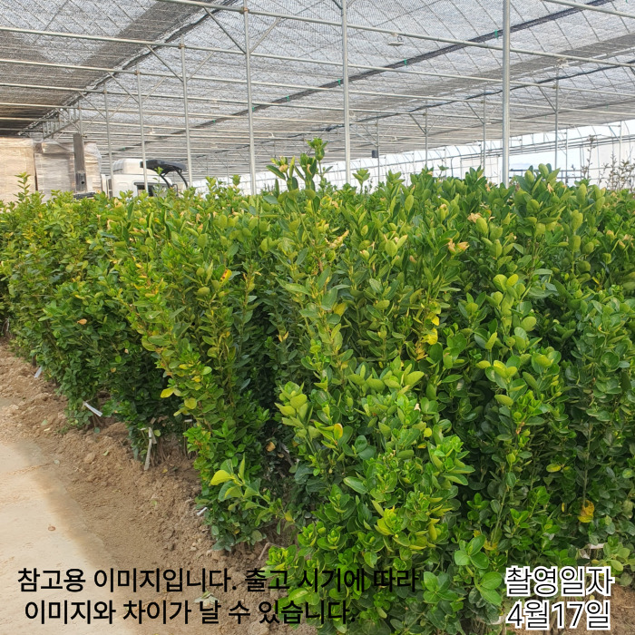 사철-001 (1).jpg