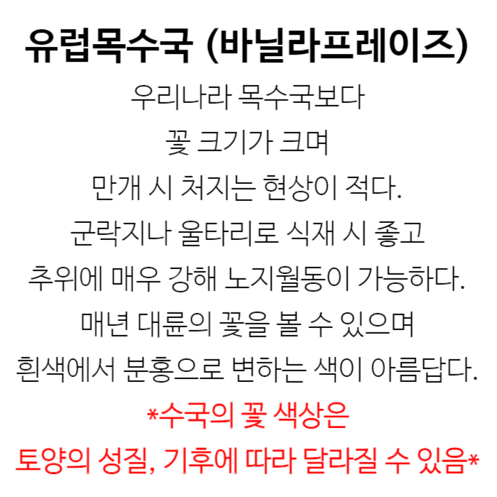 바닐라프레이즈 설명.jpg