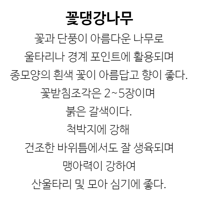 꽃댕강나무 설명.jpg