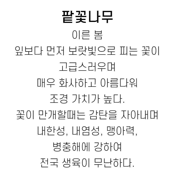 팥꽃설명.jpg