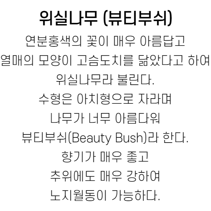 뷰티부쉬 설명.jpg