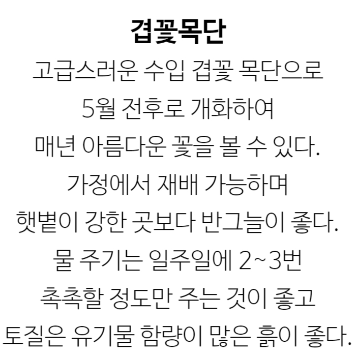 겹꽃목단 설명.jpg