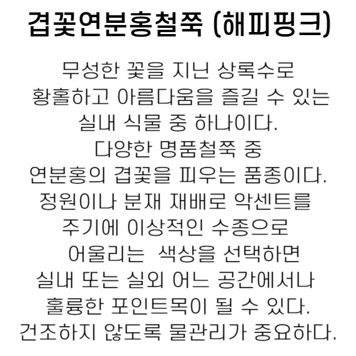 서양철쭉해피핑크-001.jpg