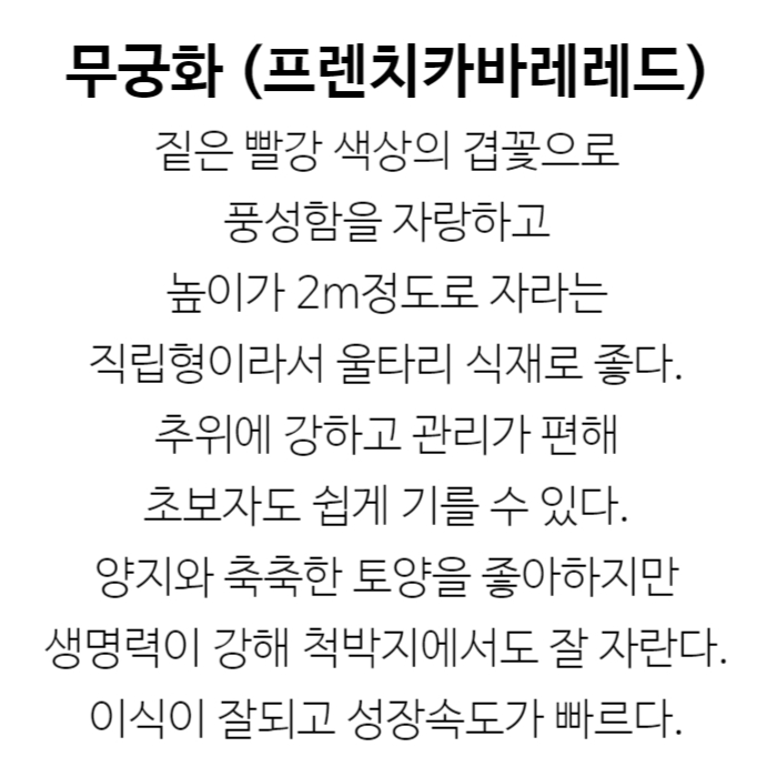 프렌치레드 설명.jpg