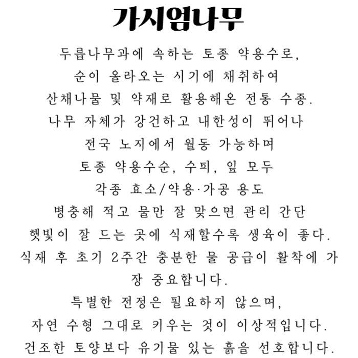 가시엄나무 상세설명-001.jpg