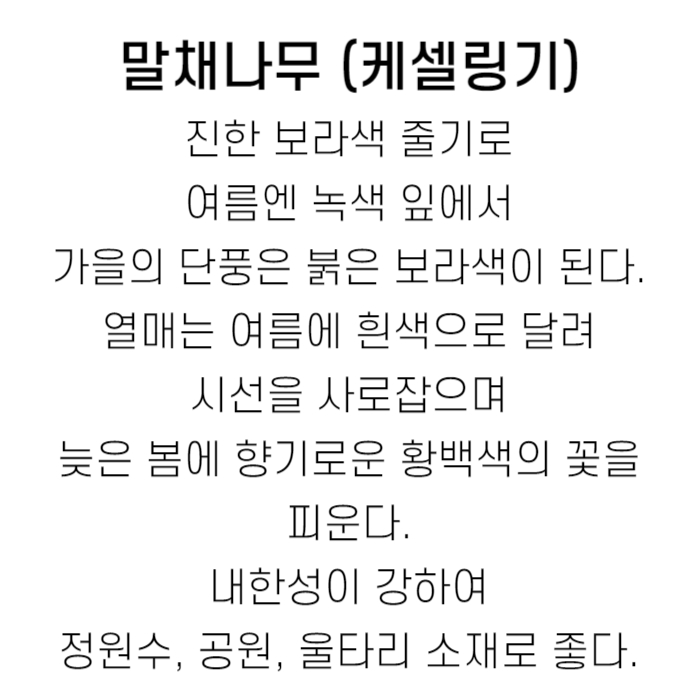 케셀링기 설명.jpg