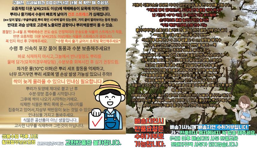 9번 사장니오도 수정분.jpg
