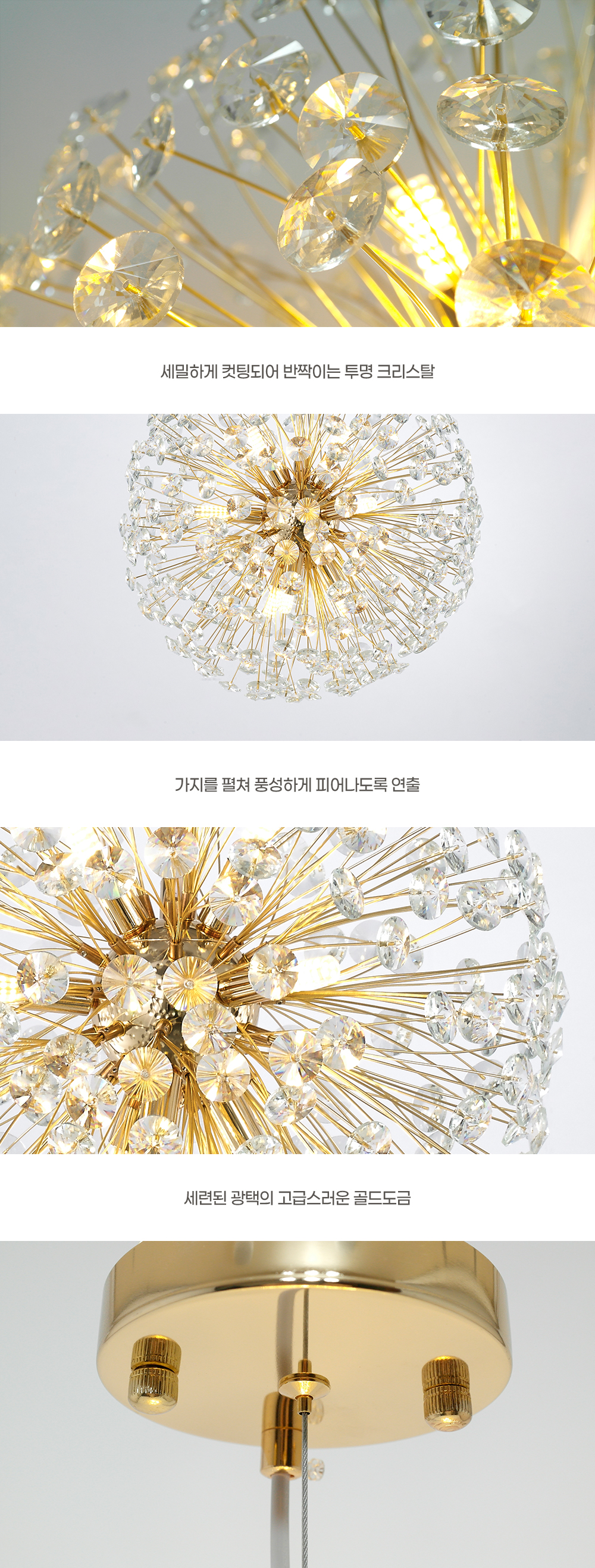 상품상세_044단델리온_9등_04.jpg