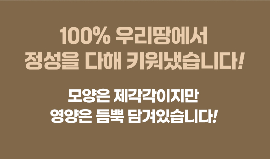 하늘마_셀러ver_3_08.jpg