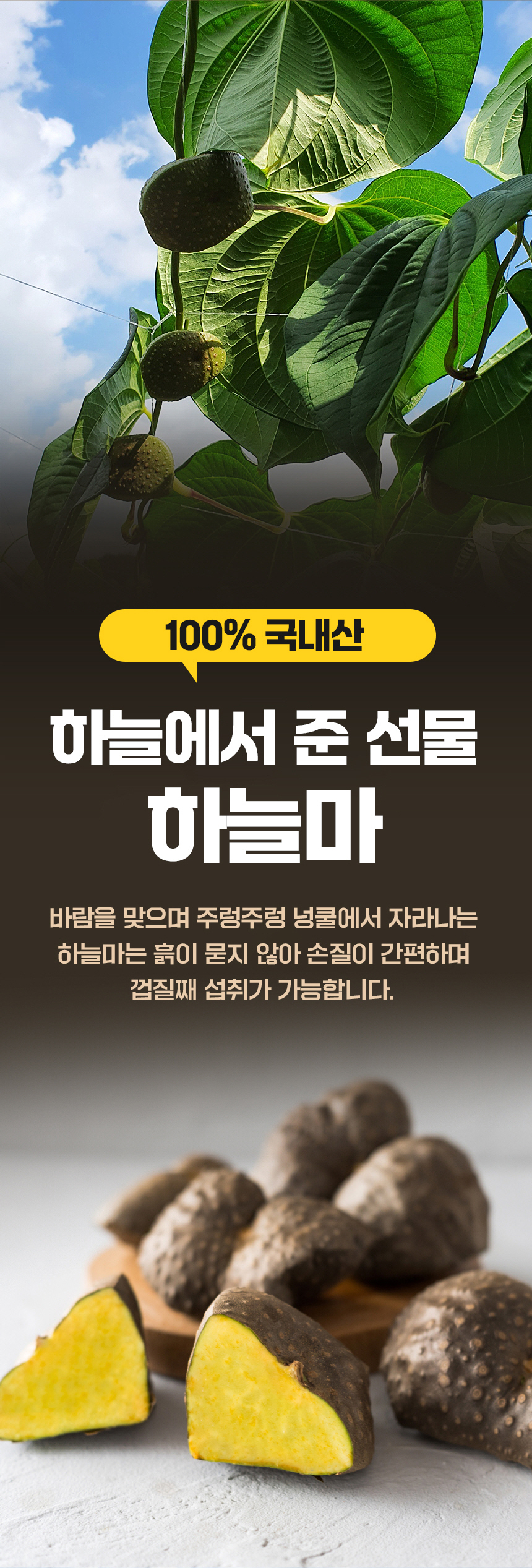 하늘마_셀러ver_1_02.jpg