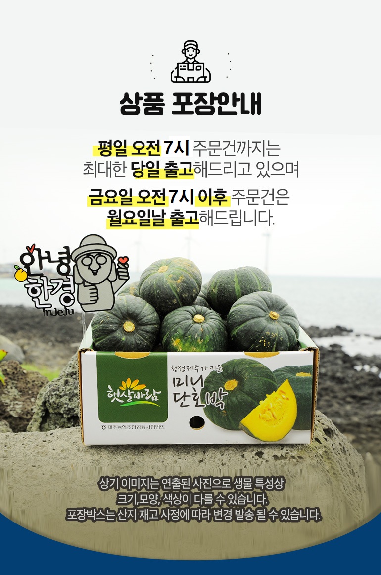 0701_minipumpkin_860_10_(1)_-_출고시간_변경.jpg