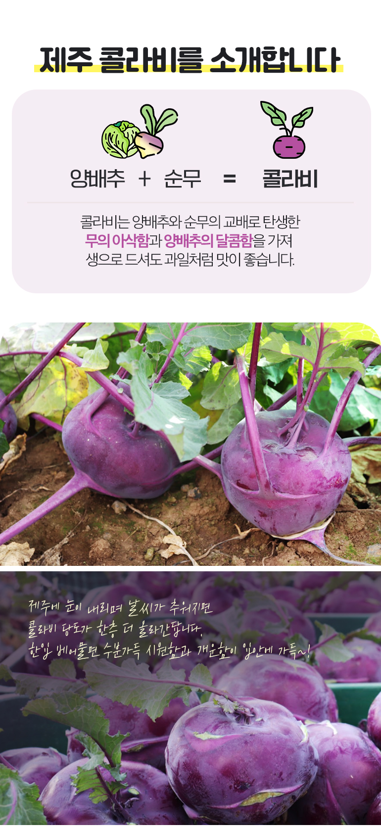 hk_Kohlrabi_770_211228_03.jpg