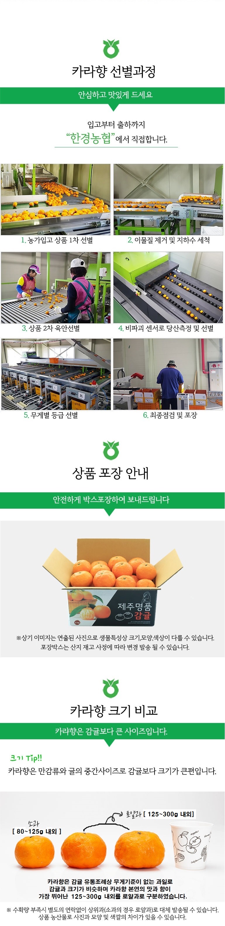 카라향 크기 최종 수정이미지.jpg