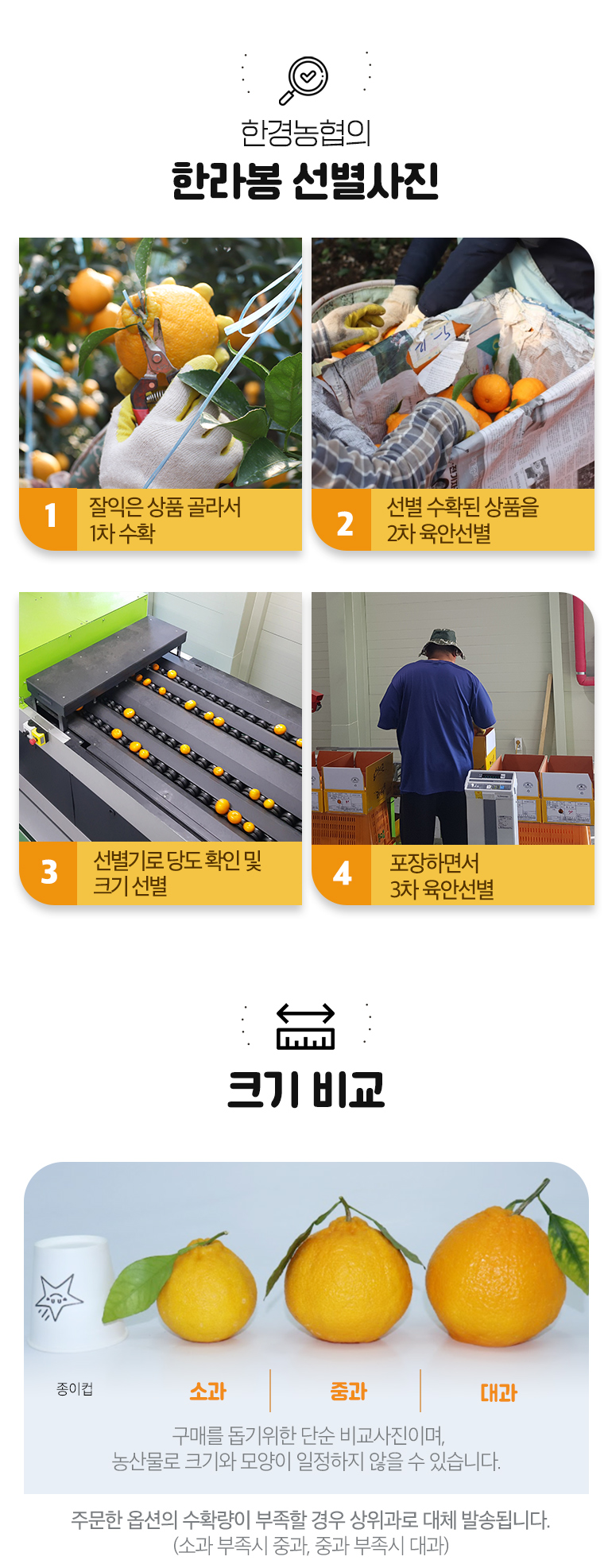 한라봉 사이즈 대체발송이미지.jpg