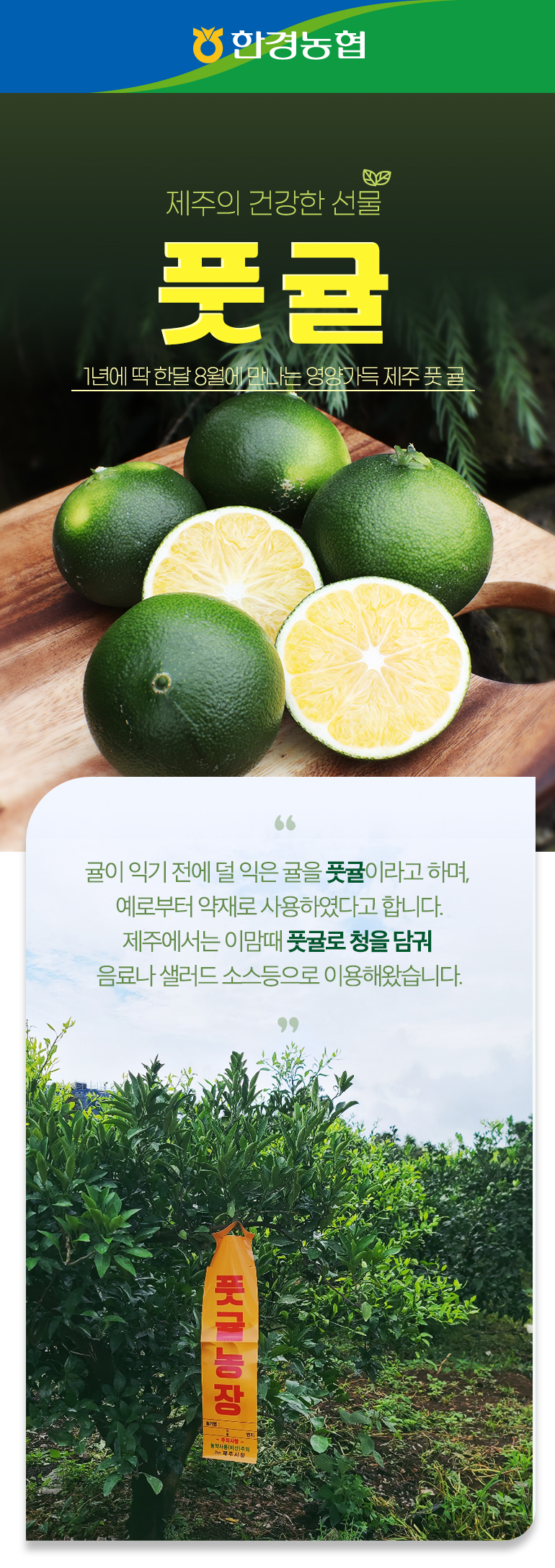 greenornage_001 (1).jpg