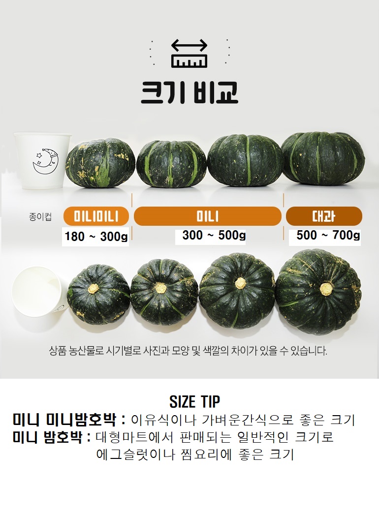 0701_minipumpkin_860_09_(2)_크기비교_수정본.jpg