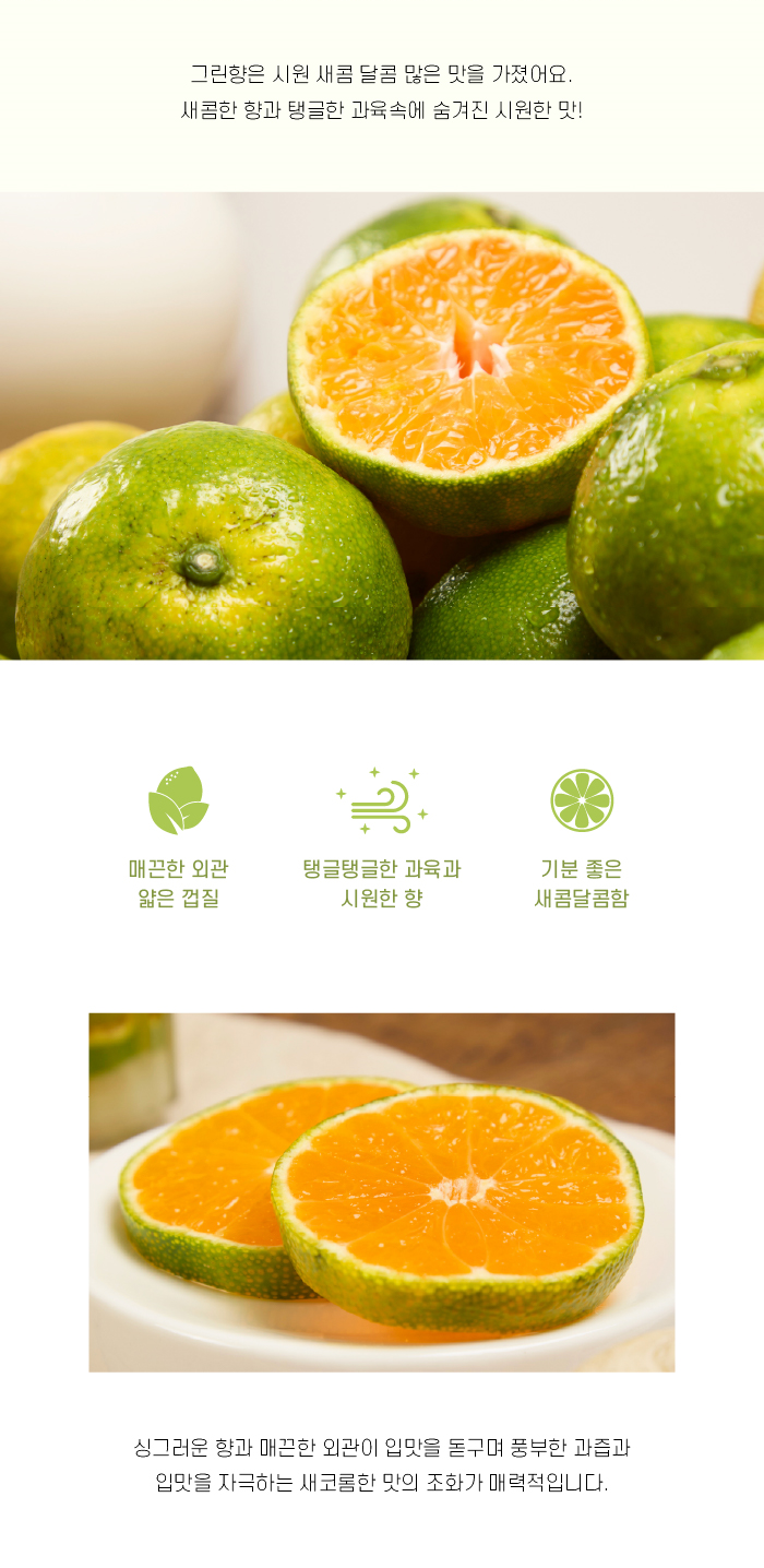 241007그린향700_3.png