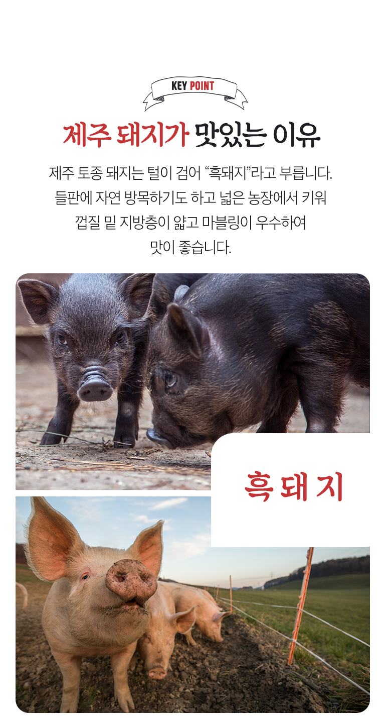 pork_770_04.png