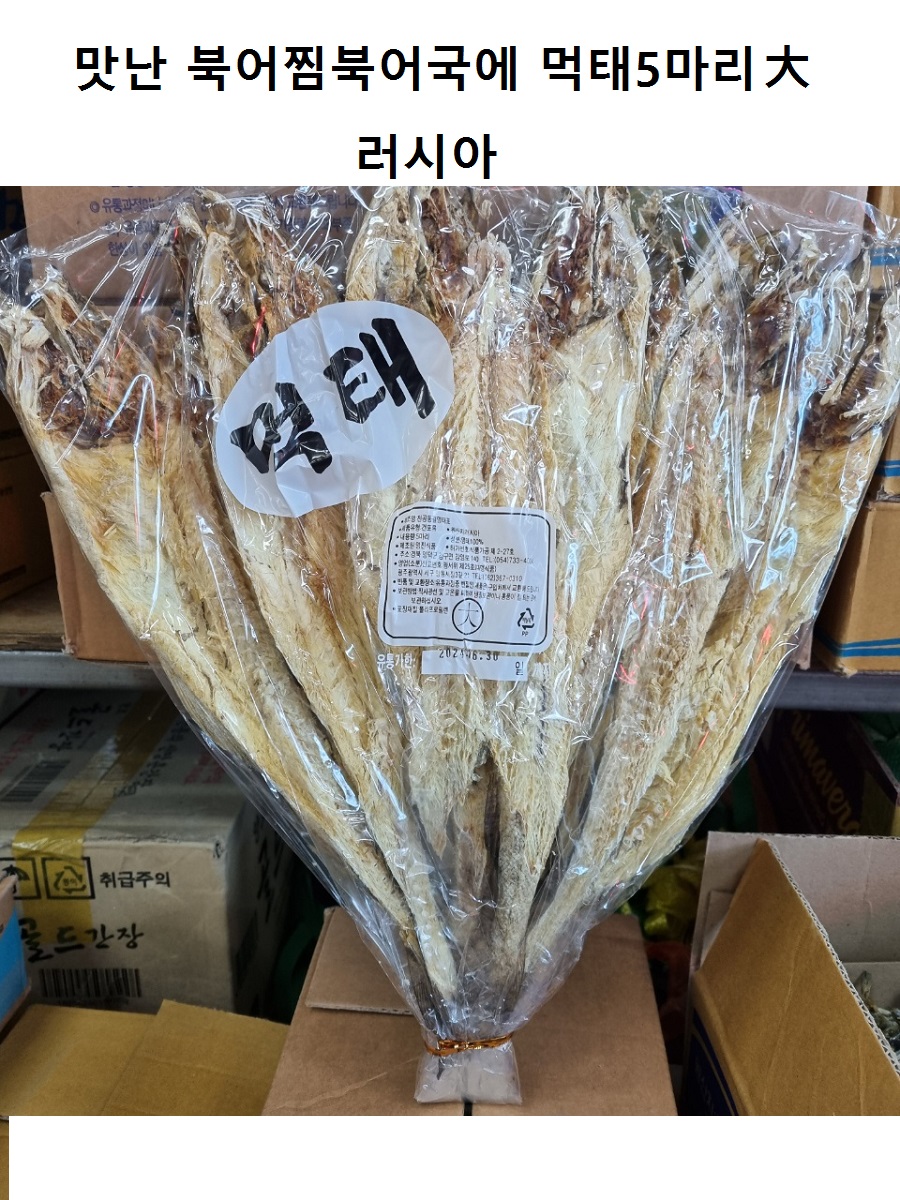 dongyang0117cd.jpg