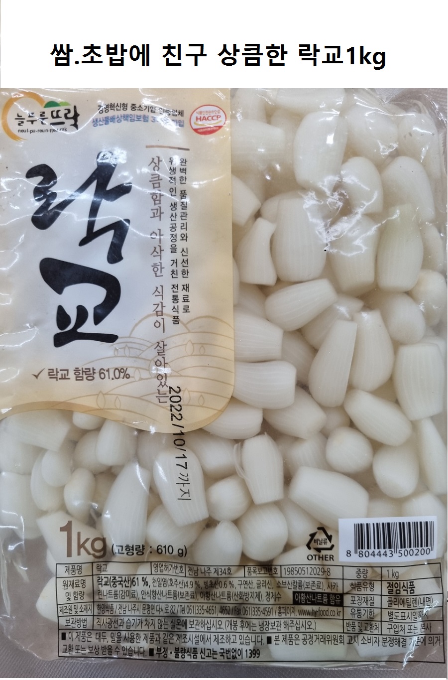rockyo1.jpg