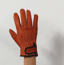 02_02-15.gif