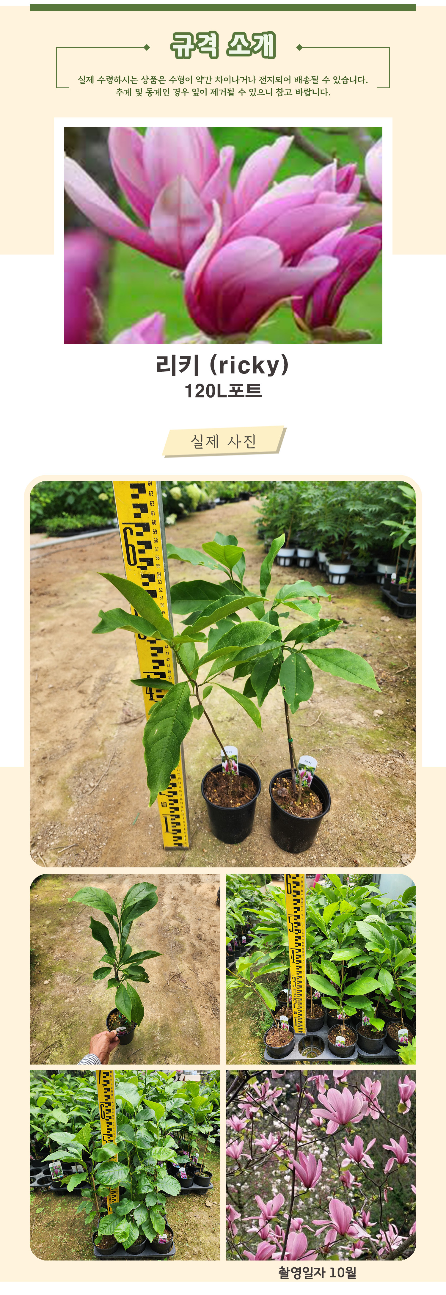 10-리키 촬영일 10월  .jpg