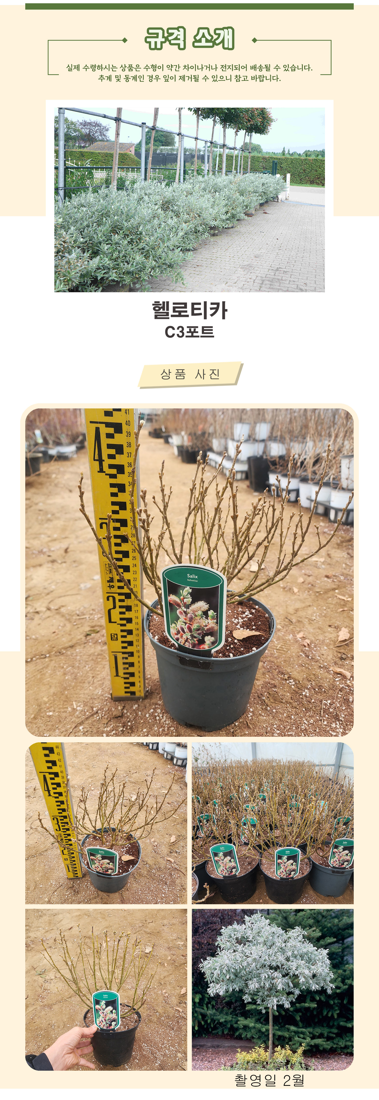 3_ 헬베티카 C3포트 촬영일 2월 .jpg