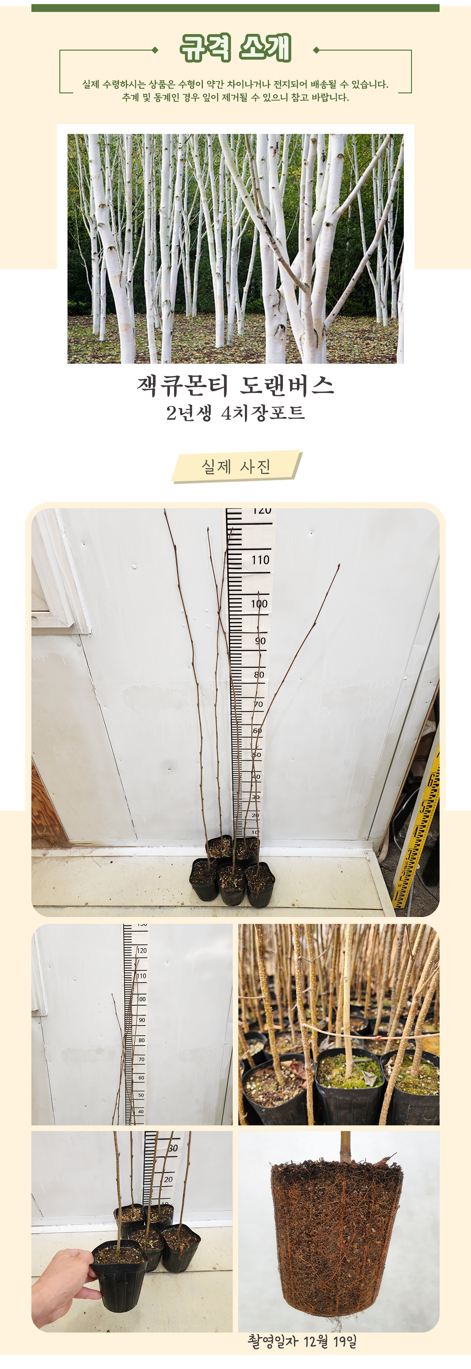 2_1 잭큐몬티 도랜버스 2년생 .jpg