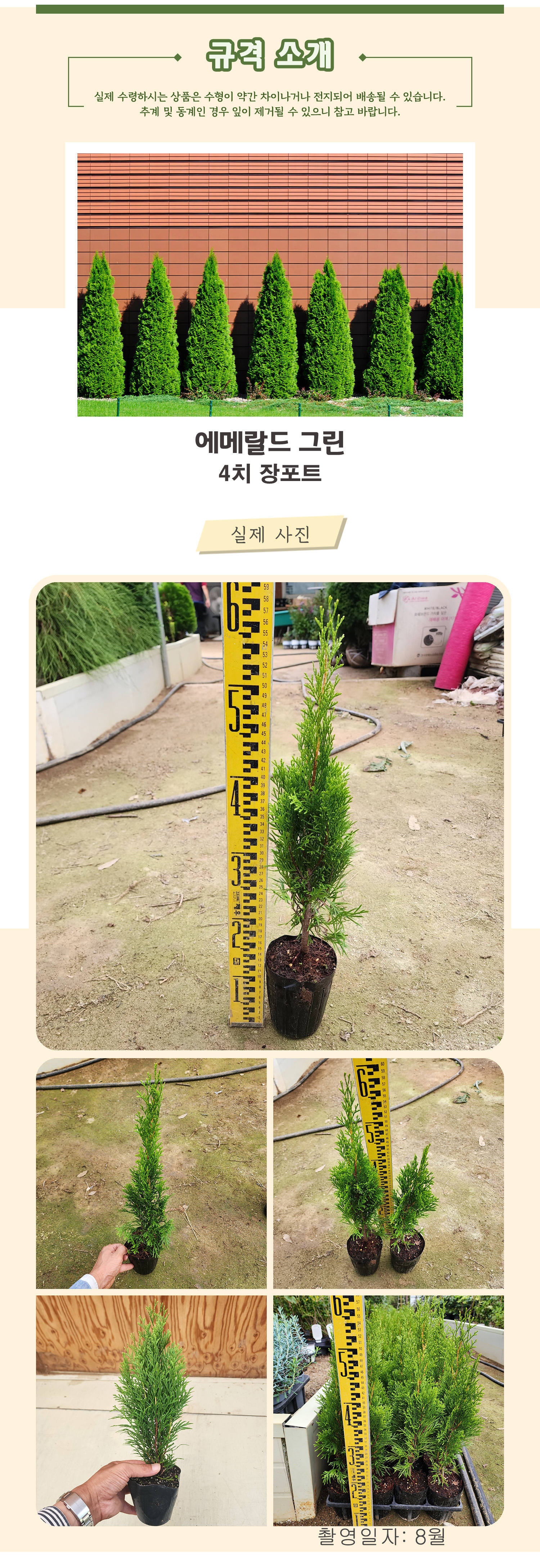 7_ 에메랄드그린 4치장포트 촬영일 8월 .jpg