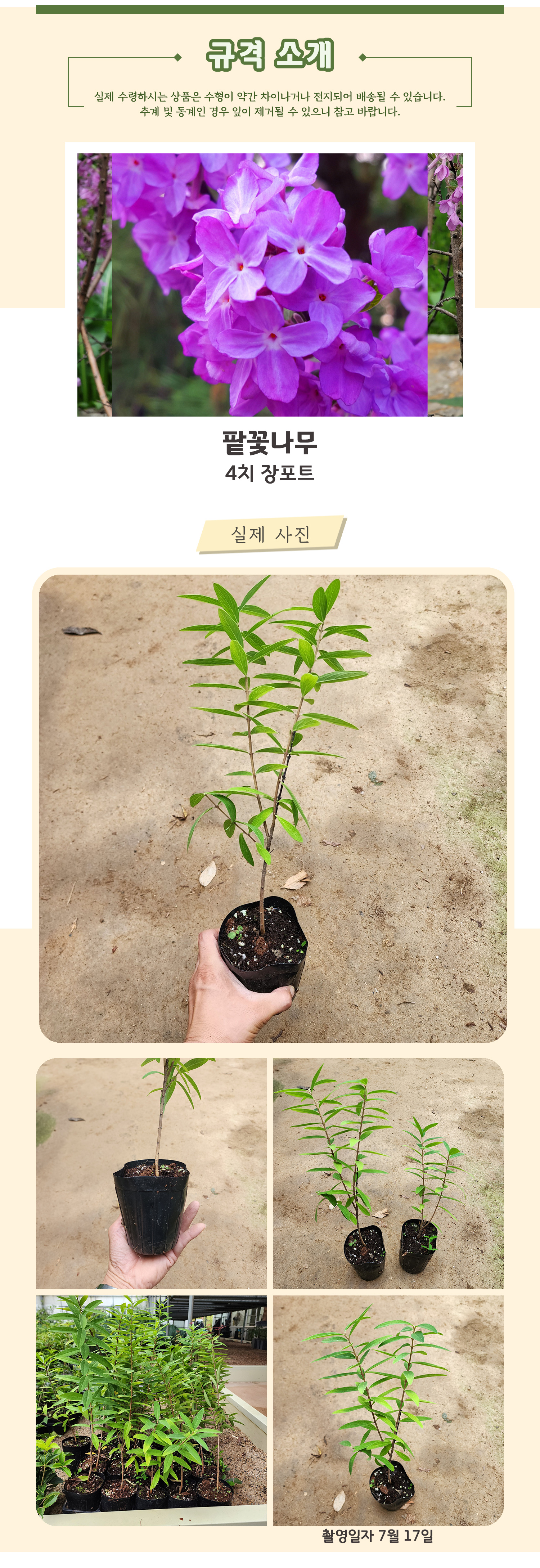 4- 4치장포트.jpg