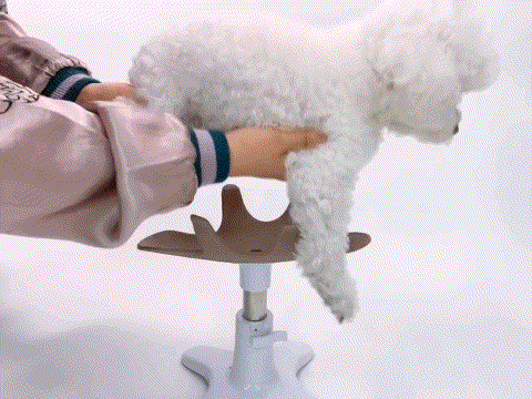 »ù½¼»ì·Õ1Â÷_02_02_d.gif