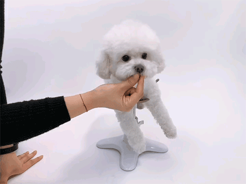 »ù½¼»ì·Õ1Â÷_02_02_e.gif
