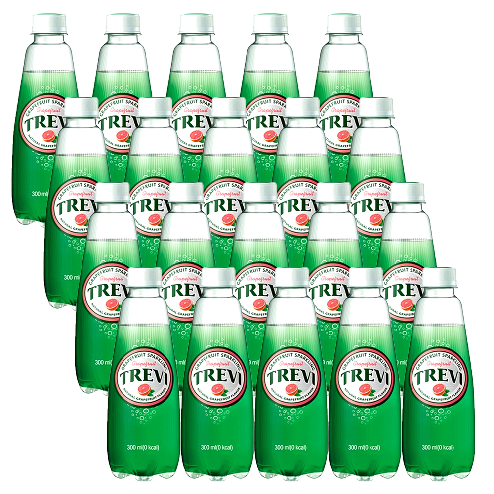 트레비 자몽 300ml 20입.jpg
