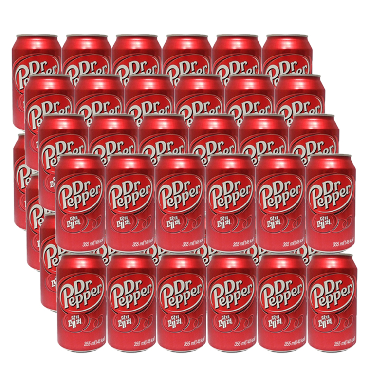 닥터페퍼 355ml 48입.jpg