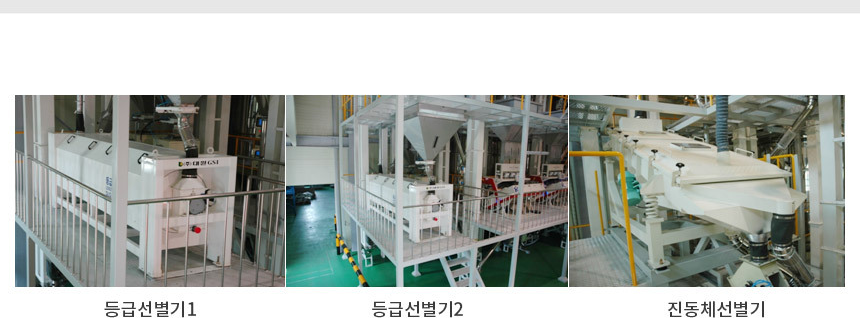 2025년 햅쌀 진천농협 생거진천 알찬미 상등급 10kg_017